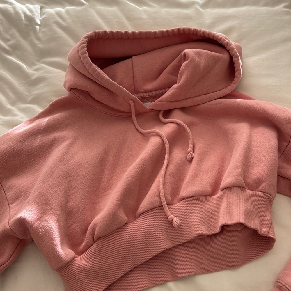 Aritzia TNA cropped hoodie
